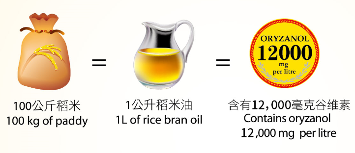 产品升级 - 瑞兹米糠油